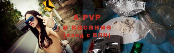 индика Балахна