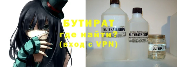 индика Балахна