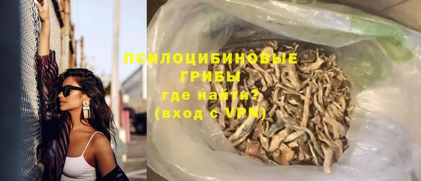 спайс Баксан