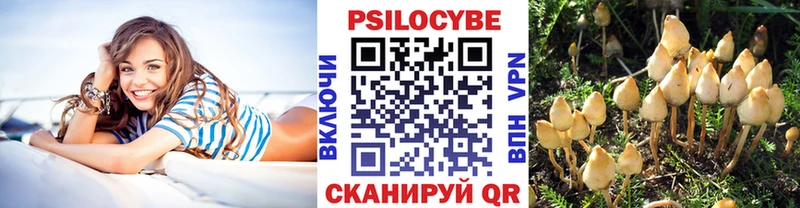 как найти закладки Иркутск Псилоцибиновые грибы Psilocybe